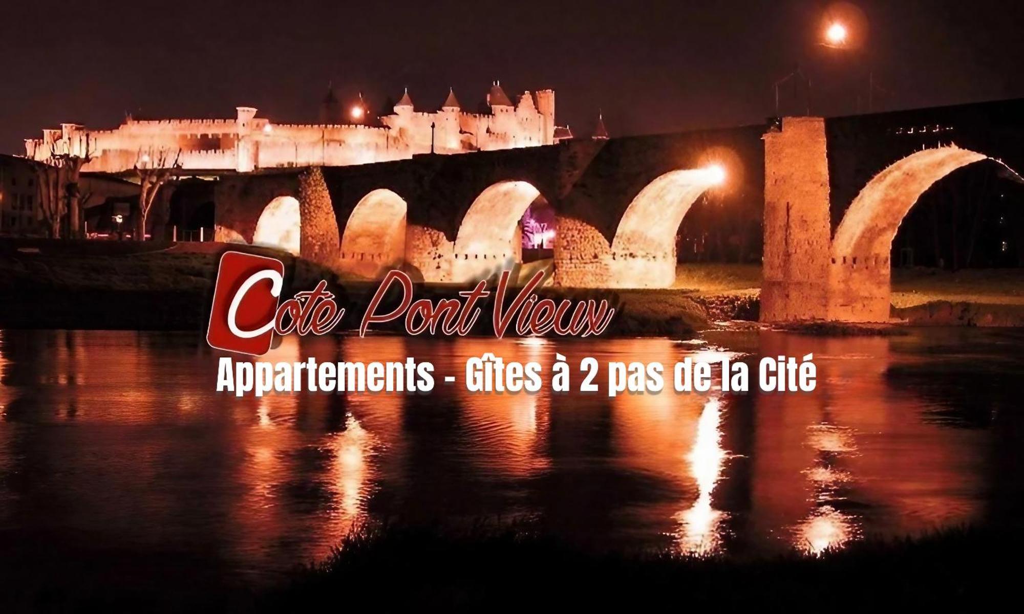 Appartements Cote Pont Vieux-Self Check-In Каркасон Екстериор снимка